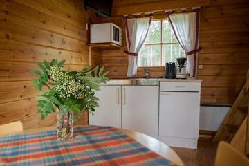 Фото номера Коттедж Дома для отпуска Lentiira Holiday Village г. Lentiira 5