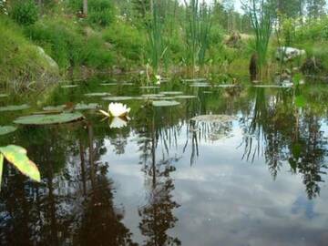 Фото номера Дом для отпуска Дома для отпуска Holiday Home Hamppulahti г. Lentiira 6